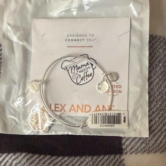 Alex and Ani Silver Charm Bangle - Picture 1 of 4